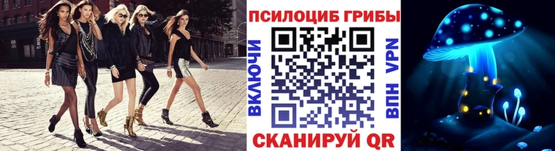 Псилоцибиновые грибы мицелий  Белая Холуница 