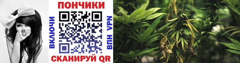 Конопля VHQ как найти Белая Холуница